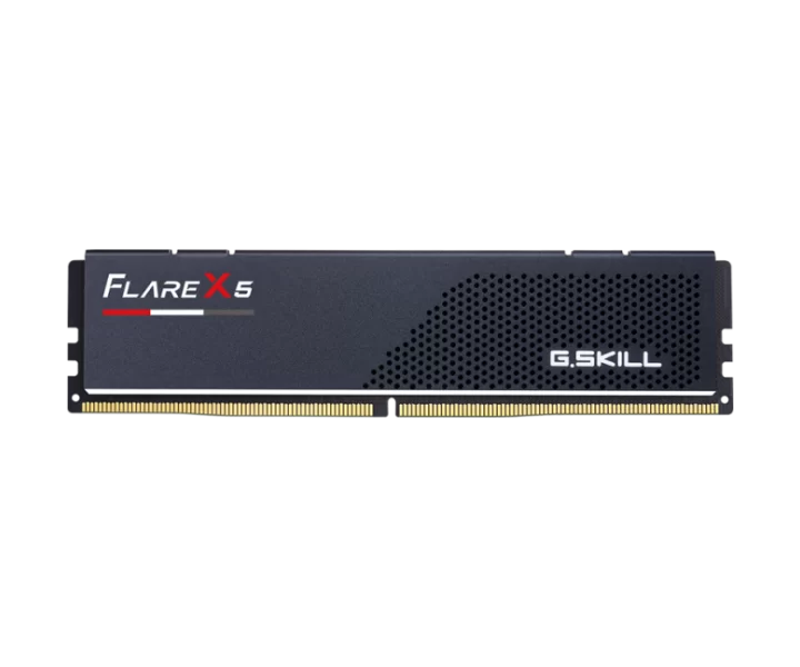 G.SKILL Flare X5 24 GB 5200 MT/s CL40 F5-5200J4040A24GX1-FX5