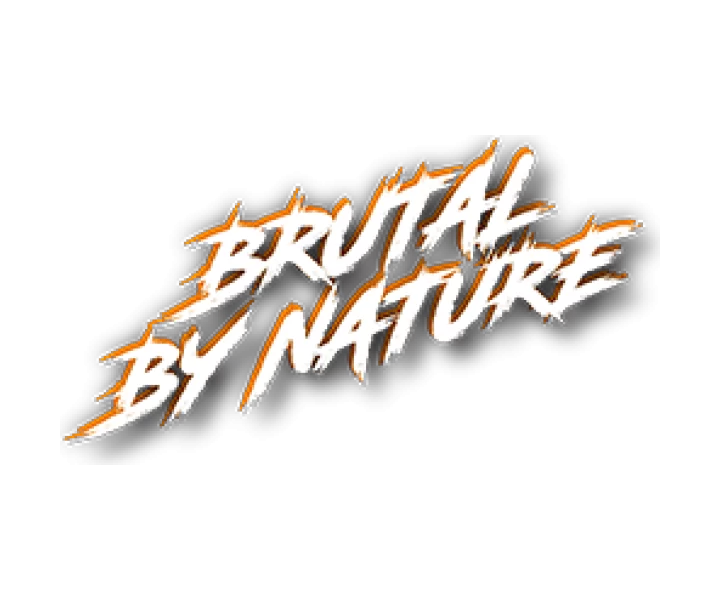 GeForce RTX 4080 16GB iCHILL FROSTBITE