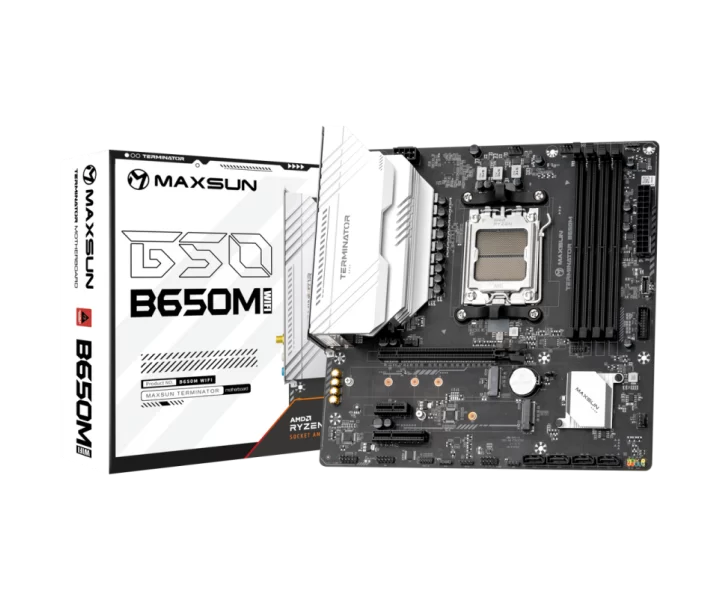 MS-Terminator B650M WIFI6